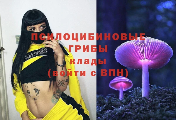 дмт Дмитриев