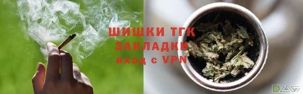 дмт Дмитриев