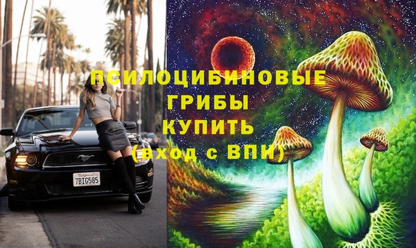 спиды Елабуга