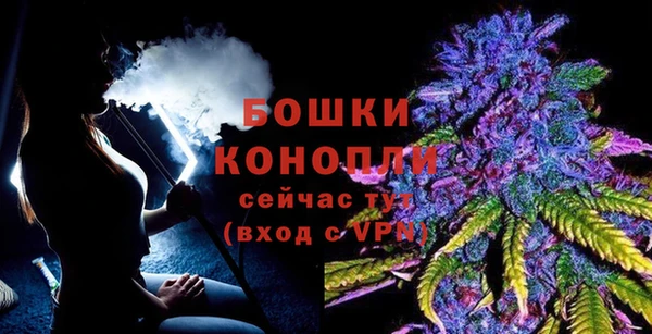 молекула духа Дмитровск