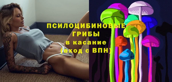таблы Ельня