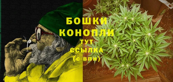 дмт Дмитриев