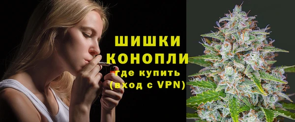 дмт Дмитриев