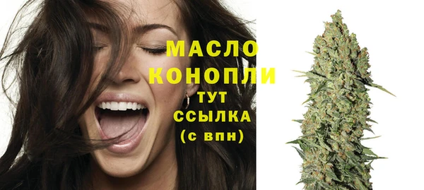 молекула духа Дмитровск